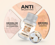 MELENA DE LEON FORTIFICADA