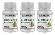 PACK X3 Ashwagandha + Magnesio 1000mg